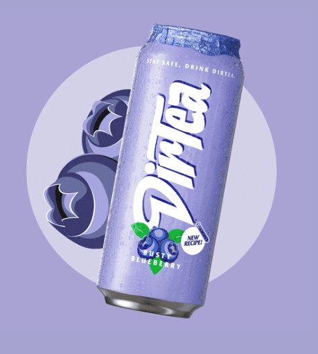 Dirtea Busty Blueberry (12 Ds. à 0,5 Lt.)